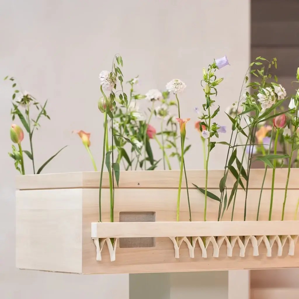 Lichte houten uitvaartkist met natuurlijke bloemen uit de kistencollectie van Hess uitvaartzorg